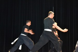 hunggarnancy-artsmartiaux-wushu-kungfu-demonstration-23avril2016-29            